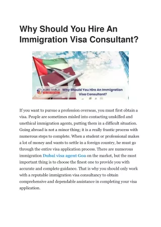 Why Should You Hire An Immigration Visa Consultant