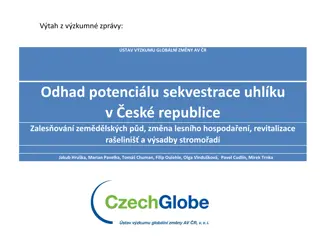 Carbon Sequestration Potential in Czech Republic: Insights from Research Report