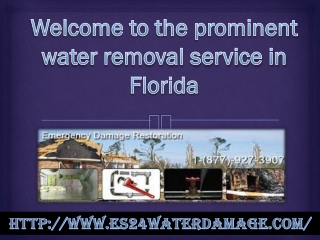 The prominent water removal service in Florida