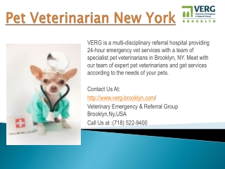 Pet Veterinarian New York