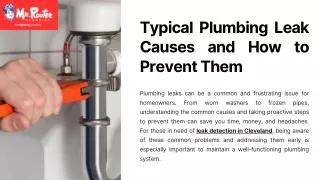 Typical Plumbing Leak Causes and How to Prevent Them