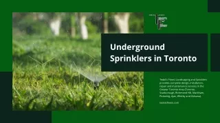 Toronto’s Leading Underground Sprinkler Solutions | Tedot's Finest