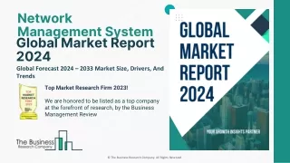 Network Management System Market Share Report, Growth Drivers, Insights 2033