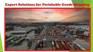 Expert Solutions for Perishable Goods Shipping