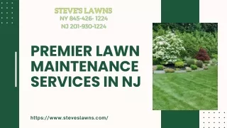 Transform Your Lawn with Professional Lawn Maintenance Services in NJ