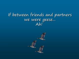If between friends and partners we were geese ... Ah!