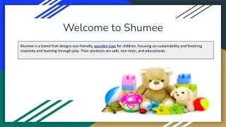 Shumee_ Redefining Play with Sustainable and Educational Toys