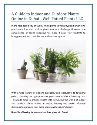 A Guide to Indoor and Outdoor Plants Online in Dubai - Well Potted Plants LLC