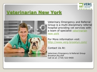 Brooklyn Veterinary Services - Find A Veterinarian in Brookl