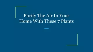 Purify The Air In Your Home With These 7 Plants