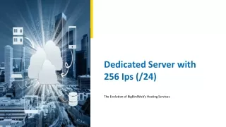 Best Cloud Hosting Infrastructure Since2012- Dedicated Server with 256 Ips (/24)