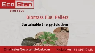 Biomass Fuel Pellets: Sustainable Energy for a Greener Future