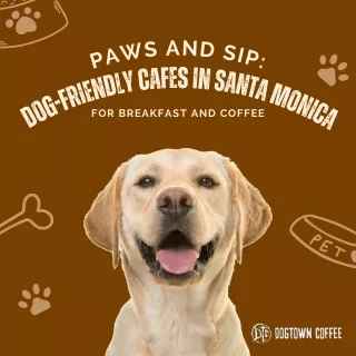 Paws and Sip Dog-Friendly Cafes in Santa Monica for Breakfast and Coffee