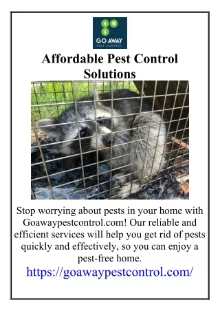 Affordable Pest Control Solutions