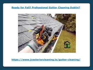 Ready for Fall - Professional Gutter Cleaning Dublin