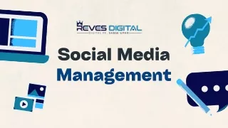 Magnify Your Online Presence with our Social Media Management Agency