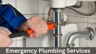 Emergency Plumbing Services What to Expect and How to Choose the Right Provider