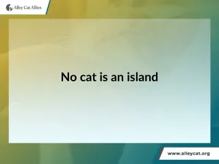No Cat is an Island