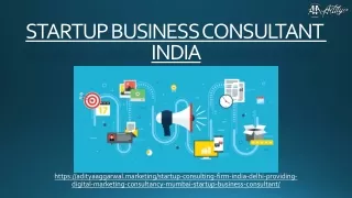 STARTUP BUSINESS CONSULTANT