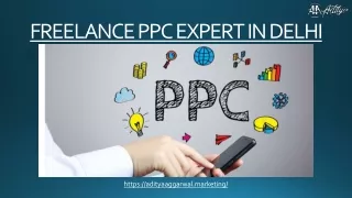 FREELANCE PPC EXPERT IN DELHI