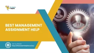 Best Management Assignment Help