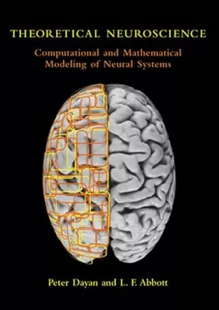 download❤pdf Theoretical Neuroscience: Computational And Mathematical Modeling of Neural Systems