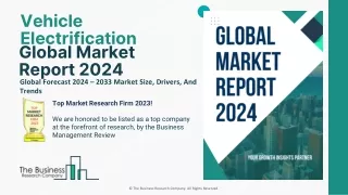 240528_Vehicle Electrification Global Market Report 2024