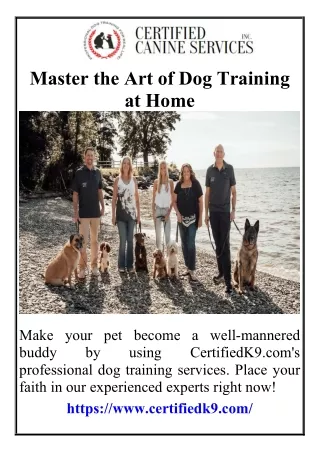 Master the Art of Dog Training at Home