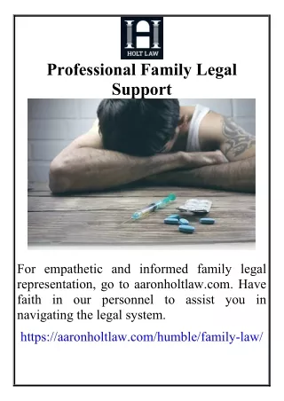 Professional Family Legal Support