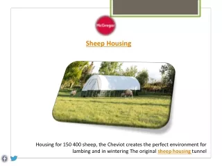 High Welfare Sheep Housing - Cheviot  - McGregor Agri