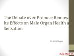 The Debate over Prepuce Removal - Its Effects on Male Organ