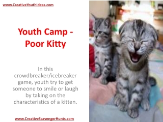 Youth Camp - Poor Kitty