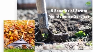 5 Benefits of Strata Maintenance Services