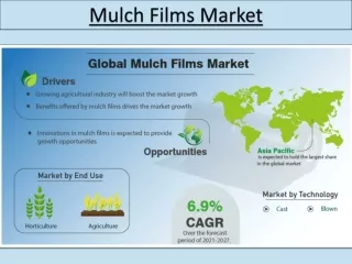 Mulch Films Market