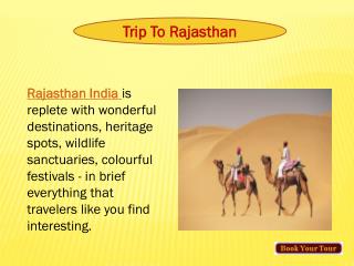 trip to rajasthan