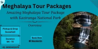 Explore Meghalaya and Kaziranga A Breathtaking Adventure