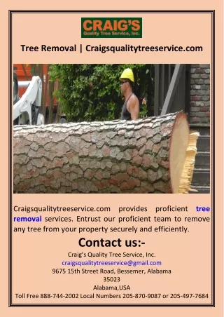 Tree Removal  Craigsqualitytreeservice.com