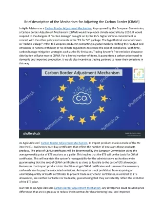 Brief description of the Mechanism for Adjusting the Carbon Border 4.6.24