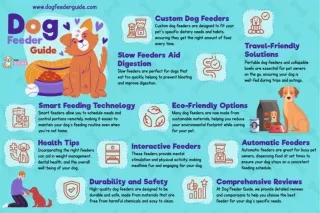 Top 10 Facts Every Dog Owner Should Know About Feeding Solutions