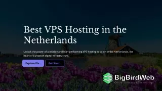 VPS Hosting Netherlands - Big Bird Web .Com