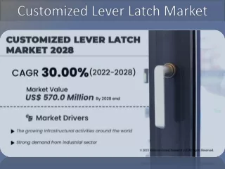 Customized Lever Latch Market