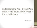 Understanding Male Organ Pain - What Men Should Know