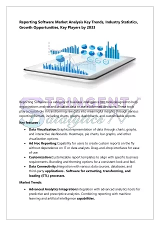 Reporting Software Market