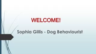 Best Dog Behaviourist  in Clovelly