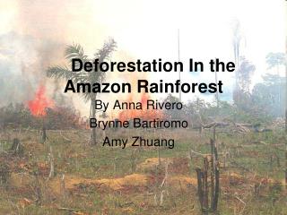 Deforestation In the Amazon Rainforest