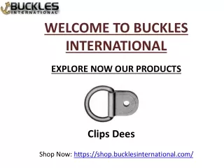 High-Quality Industrial Clips & Dees - Buckles International