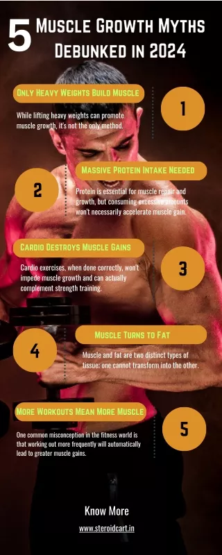 Muscle Growth Myths Debunked in 2024