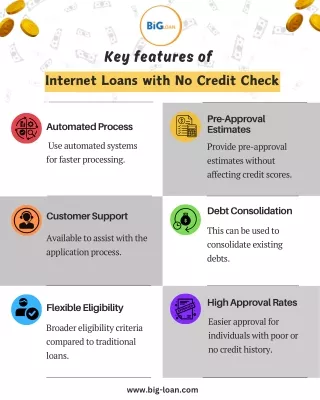 Fast Approval for Internet Loans with No Credit Check at Big Loan