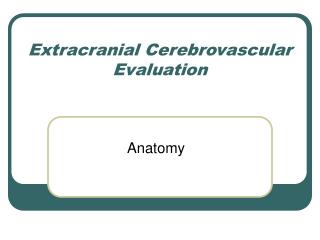 Extracranial Cerebrovascular Evaluation