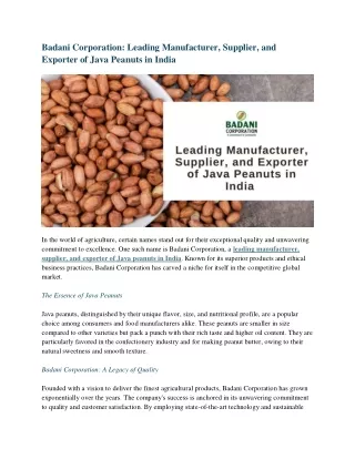 Badani Corporation: Leading Manufacturer, Supplier, and Exporter of Java Peanuts